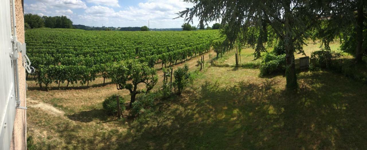 Mirande Montagne-Saint Emilion Apartment Montagne  Luaran gambar
